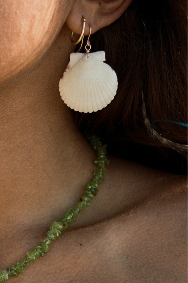 Big scallop earrings