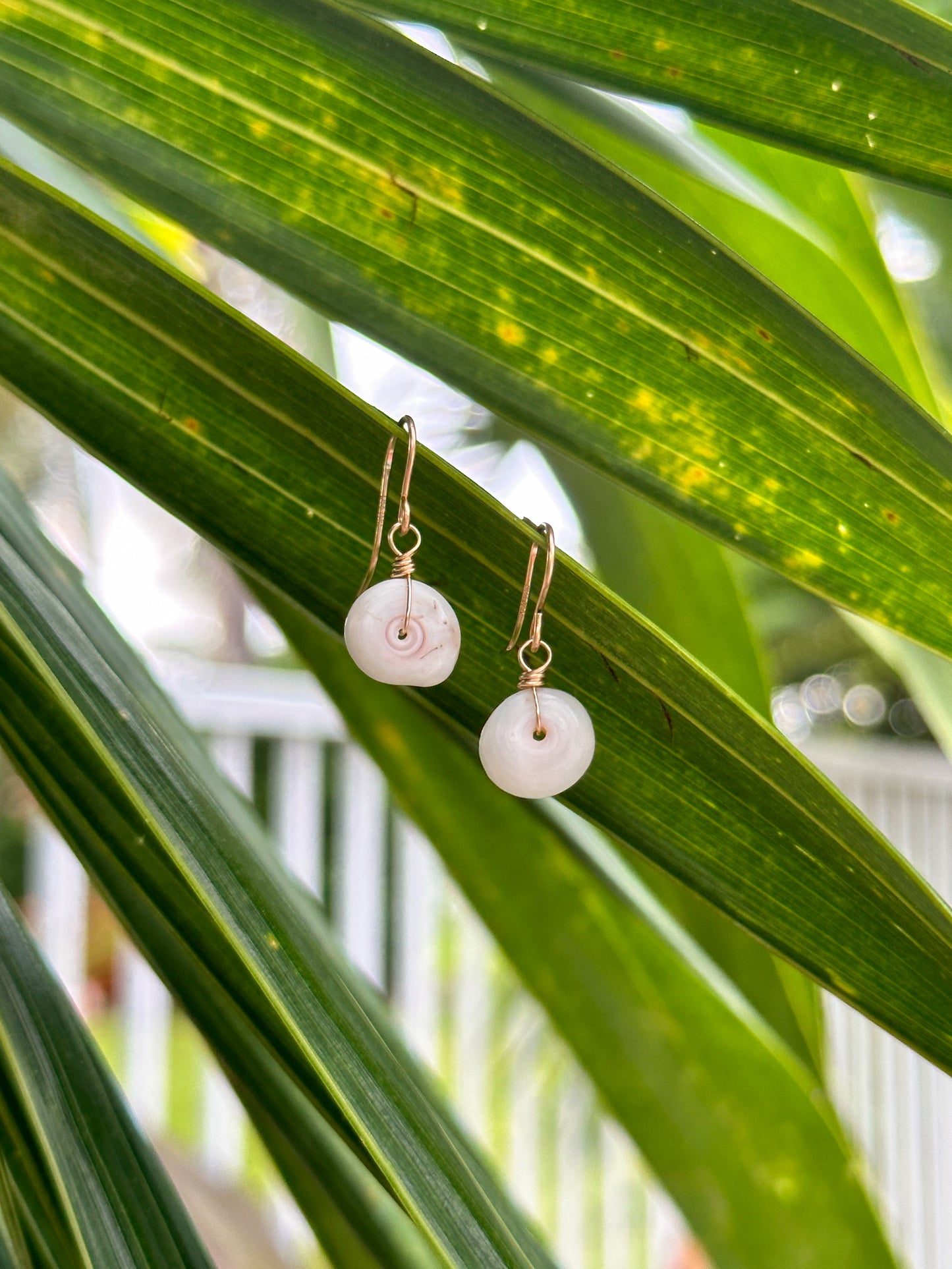 Puka Earrings