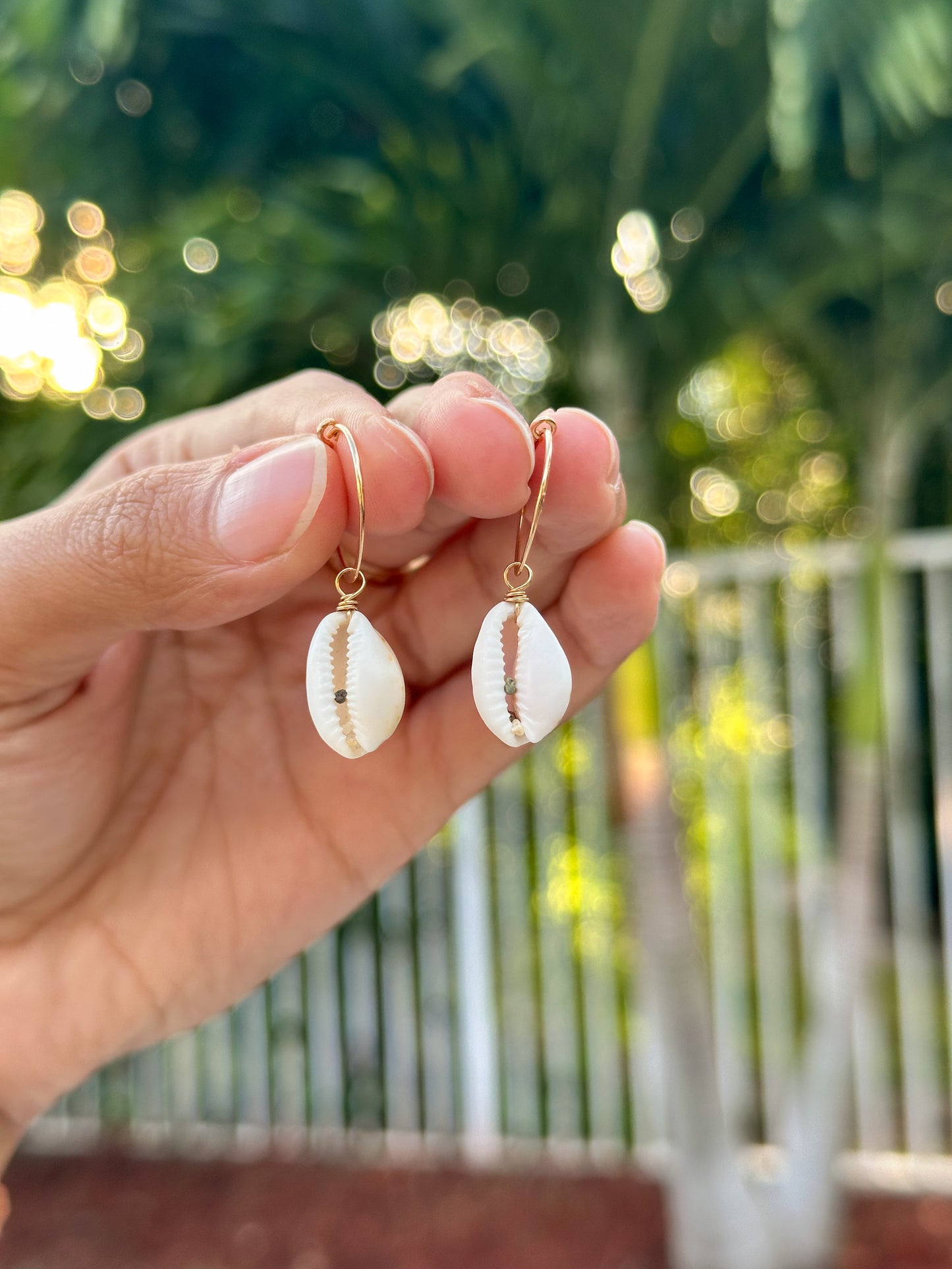 Dainty cowrie hoops