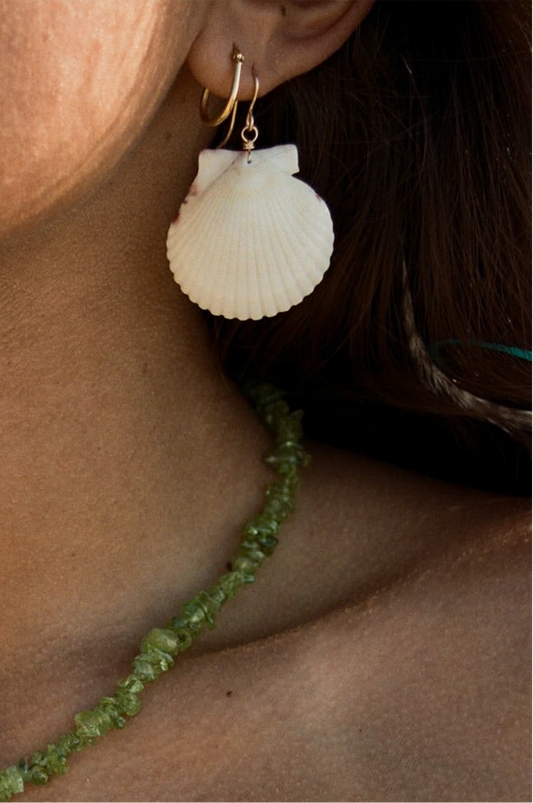 Big Scallop Earrings